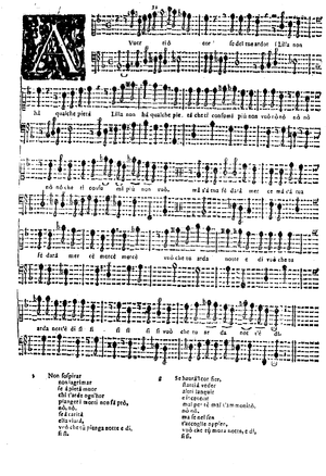 Manuscript of "Avverti un cor"